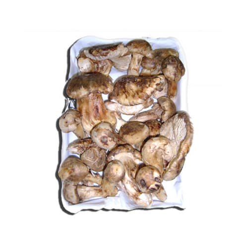Processed Mushroom